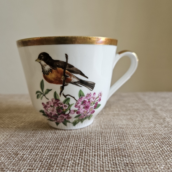 Schumann Arzberg Other - Schumann Arzberg Teacup
